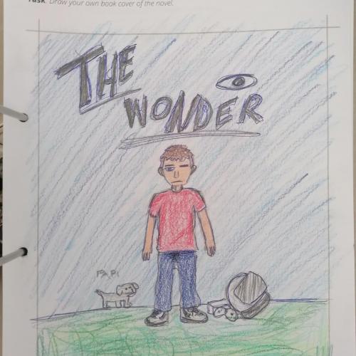The wonder1